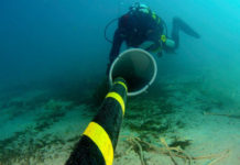 cable submarino fibra optica